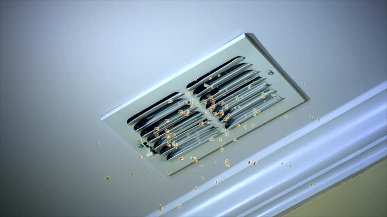 Best HVAC System Cleaning  in Castle Hills, TX